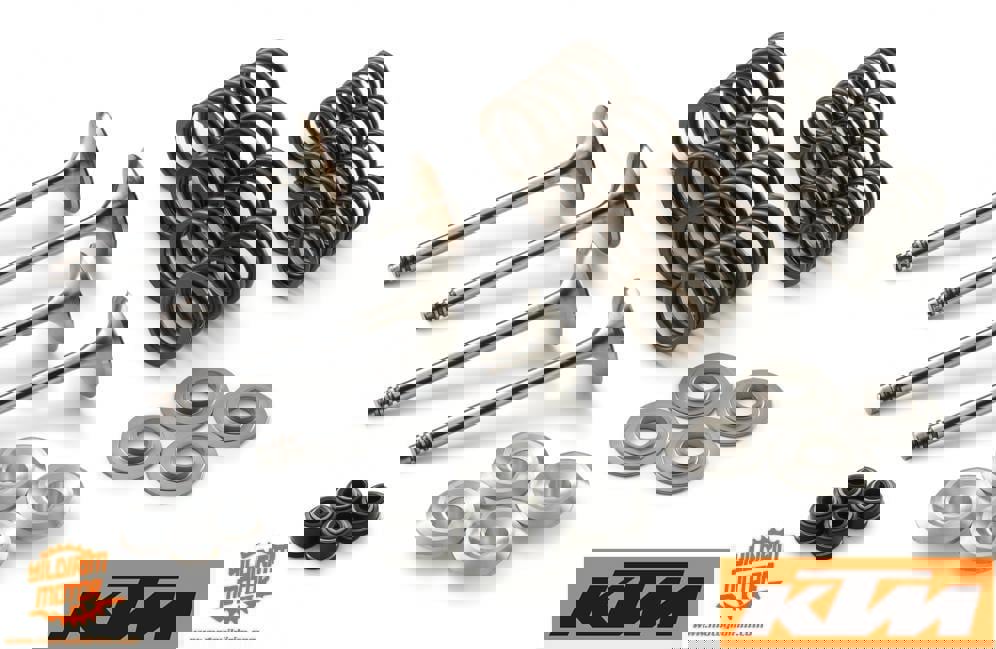 KTM EXC-F 250 SUBAP SETİ 17-23