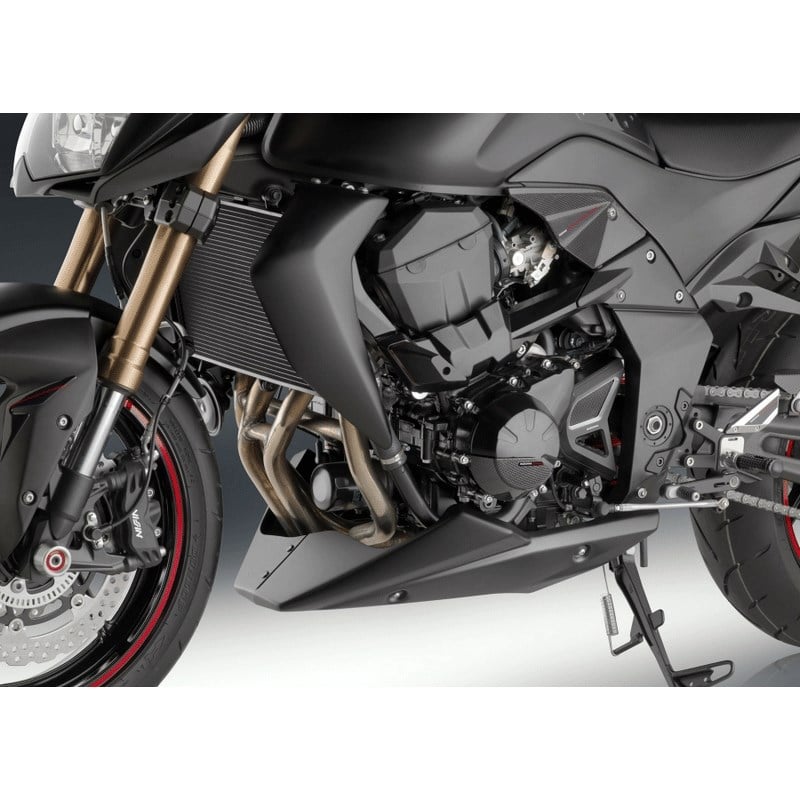 Rizoma Kawasaki Z800 Statör Kapak Koruma 2013